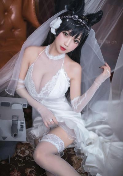 警花与警犬第二季免费观看电视剧_1080在线视频播放