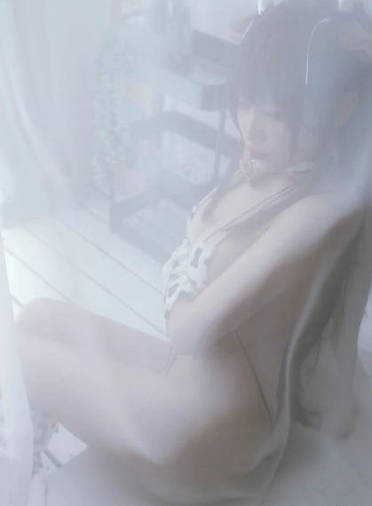 女房客在线观看_超清在线观看电视