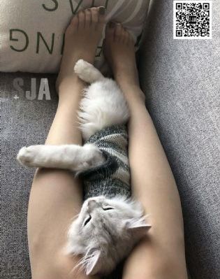青苹果影院yy4480_影视大全在线观看