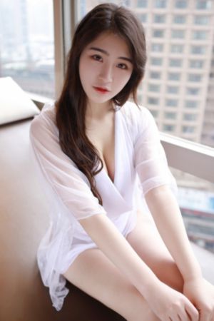 电视剧女士的法则免费播放_剧情片在线视频播放
