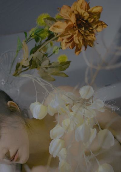 如果爱 电视剧_HD在线手机播放