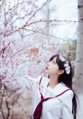 走进大山电视剧_高清动漫免费观看